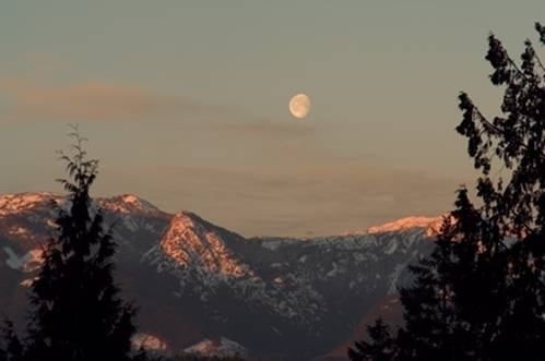 Garden Suite view of Moonrise