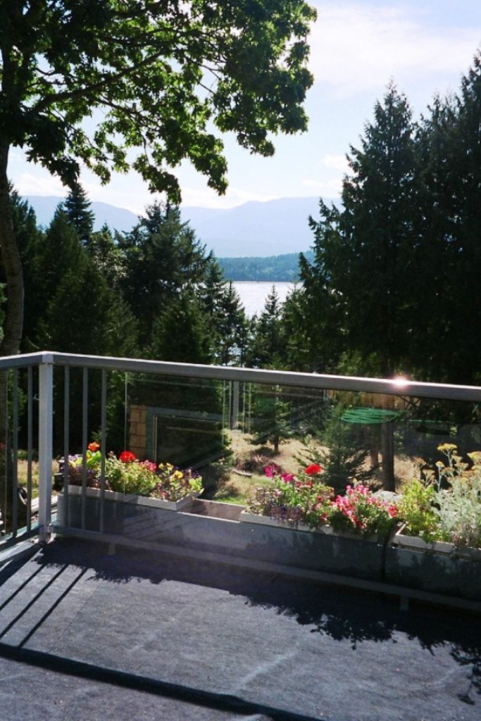 Patio view